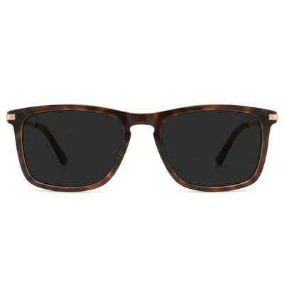 Timber / Polarized Gray