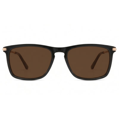 Nightfall / Polarized Brown
