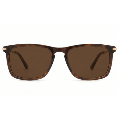 Timber / Polarized Brown
