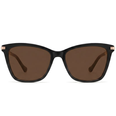 Midnight sky / Polarized brown